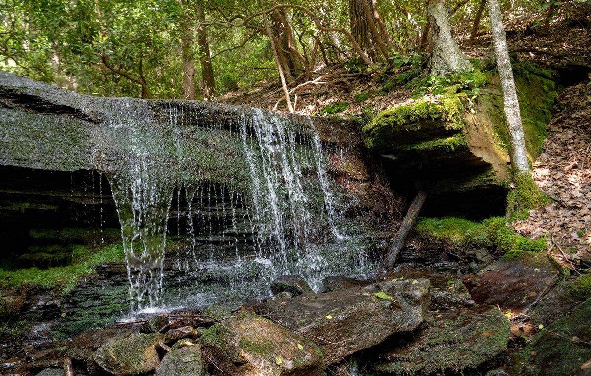 Kyler Fork Falls in Sproul State Forest on Monday, June 17, 2024.