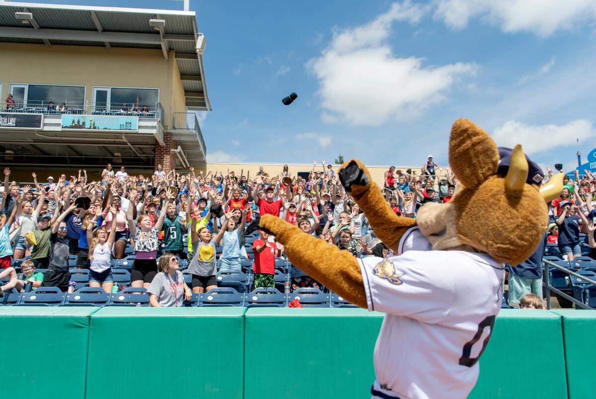 Students from Bellefonte’s Marion Walker Elementary reach to catch t-shirts from Ike the Spike during the State College Spike’s game against Mahoning Valley on Wednesday, June 8, 2022.