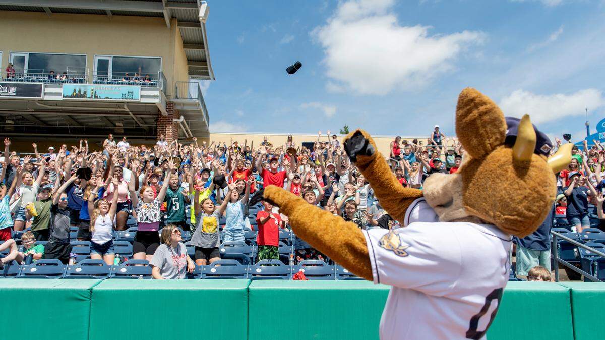 Students from Bellefonte’s Marion Walker Elementary reach to catch T-shirts from Ike the Spike during a State College Spikes game in 2022.