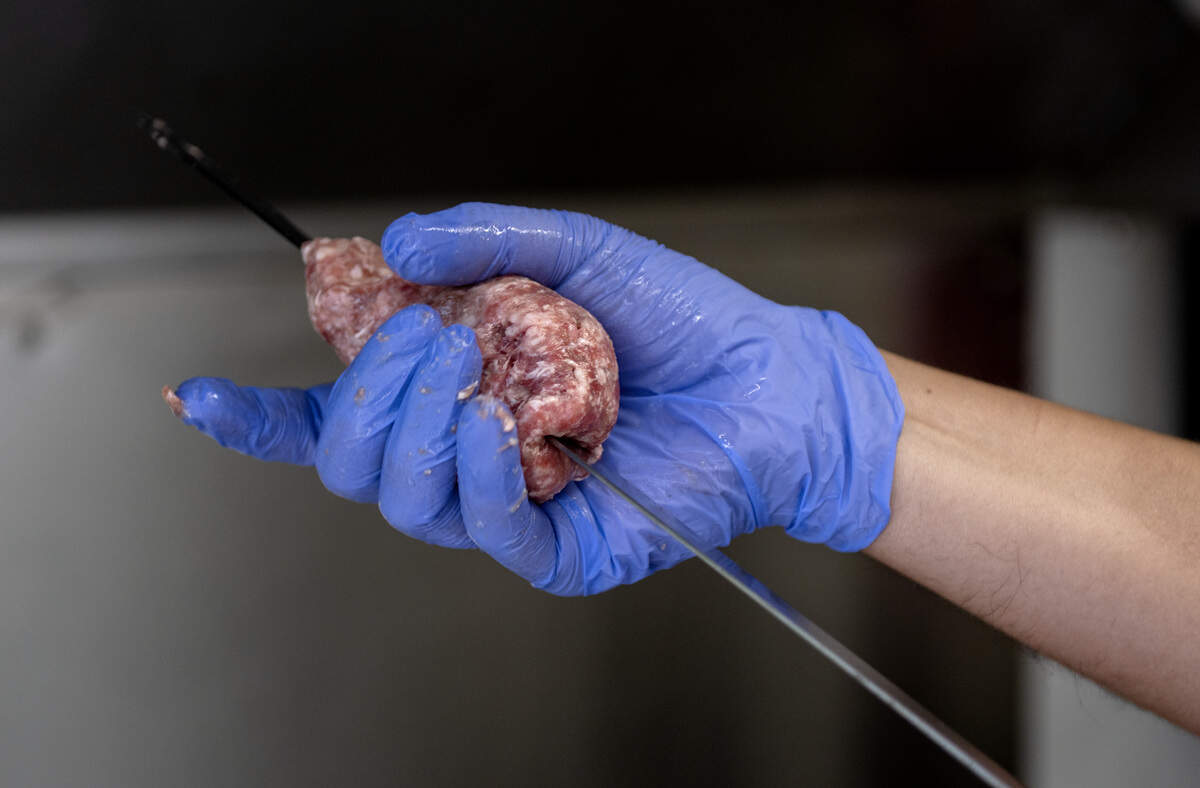 Mohammad Hashami of Fatema’s Kitchen makes a lamb and beef kebab on Tuesday, June 2, 2026. Ground lamb and ground beef are mixed together with spices and onion, then formed onto a skewer and grilled.