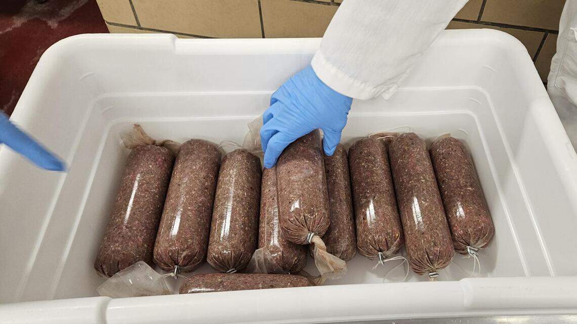 How Penn State Extension’s Venison 101 course helps hunters handle the harvest