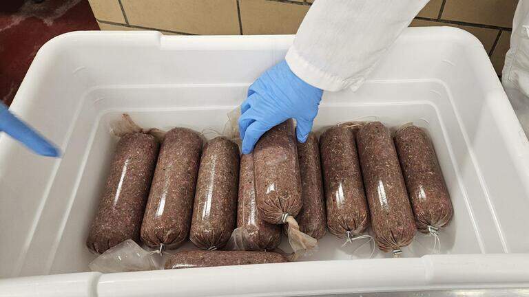 How Penn State Extension’s Venison 101 course helps hunters handle the harvest