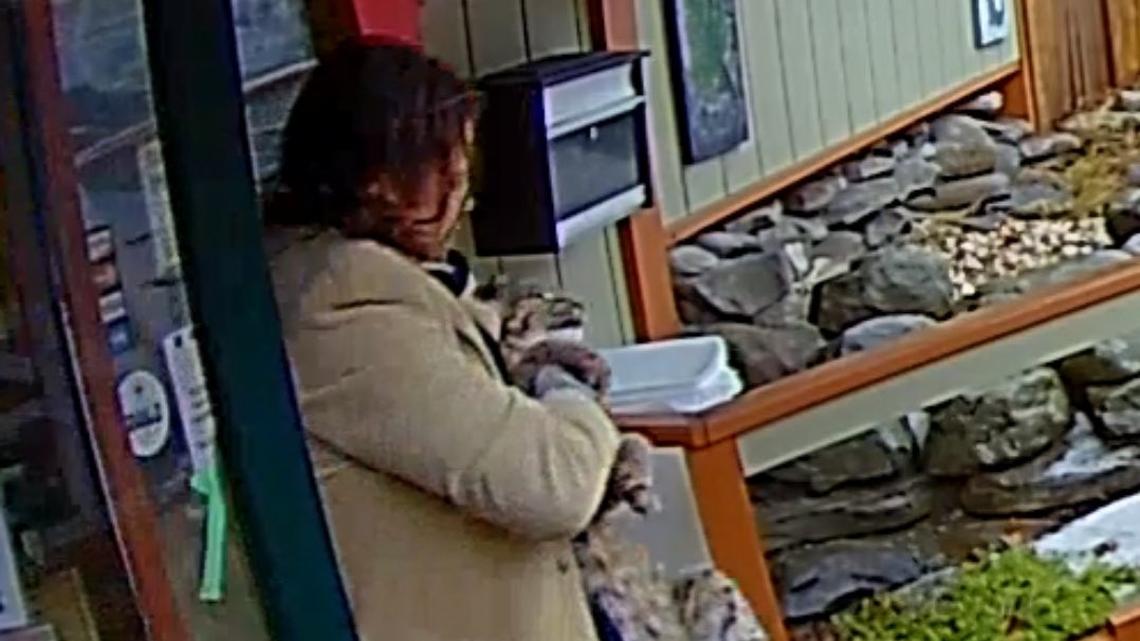 Pennsylvania State Police say this man stole a bobcat from Pocono Snake and Animal Farm.