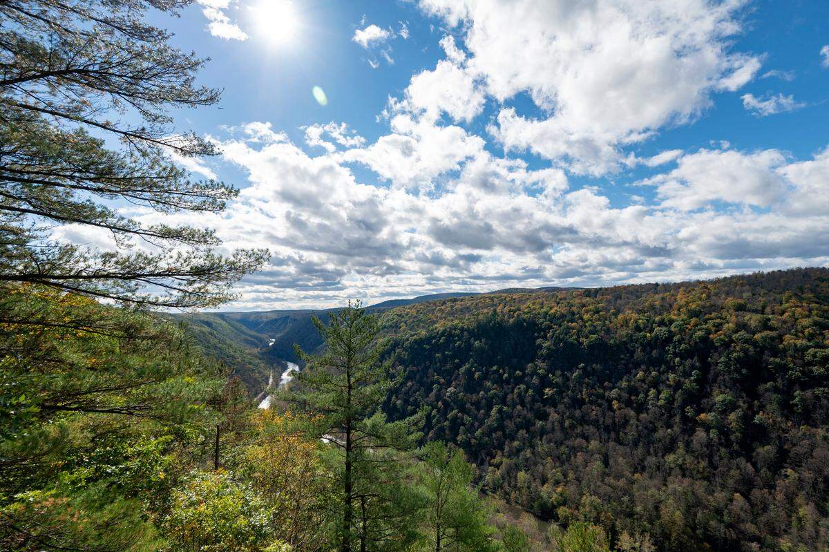 A view of the Pennsylvania Grand Canyon on October 19, 2021.