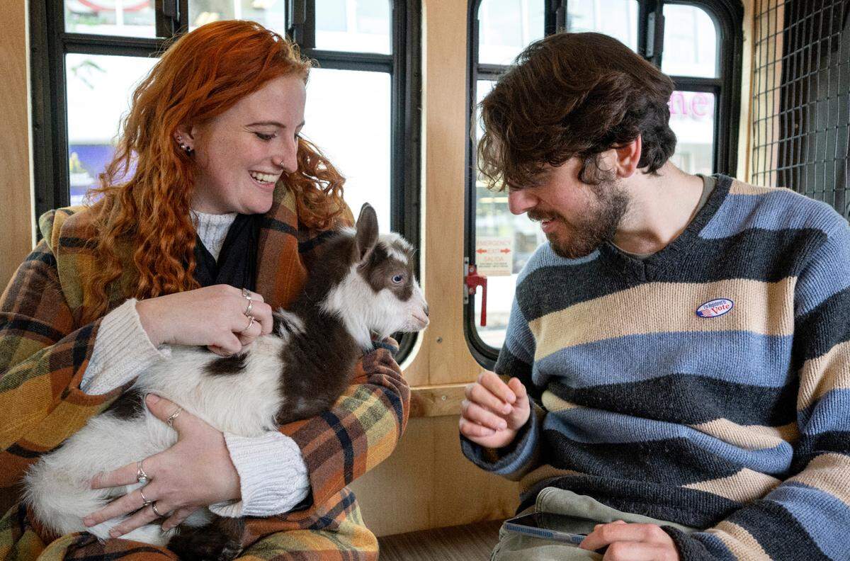Maya Sortino and Connor Price laugh as they visit with Fiona on Nittany Meadow Farm’s Goats2Go bus on Friday.