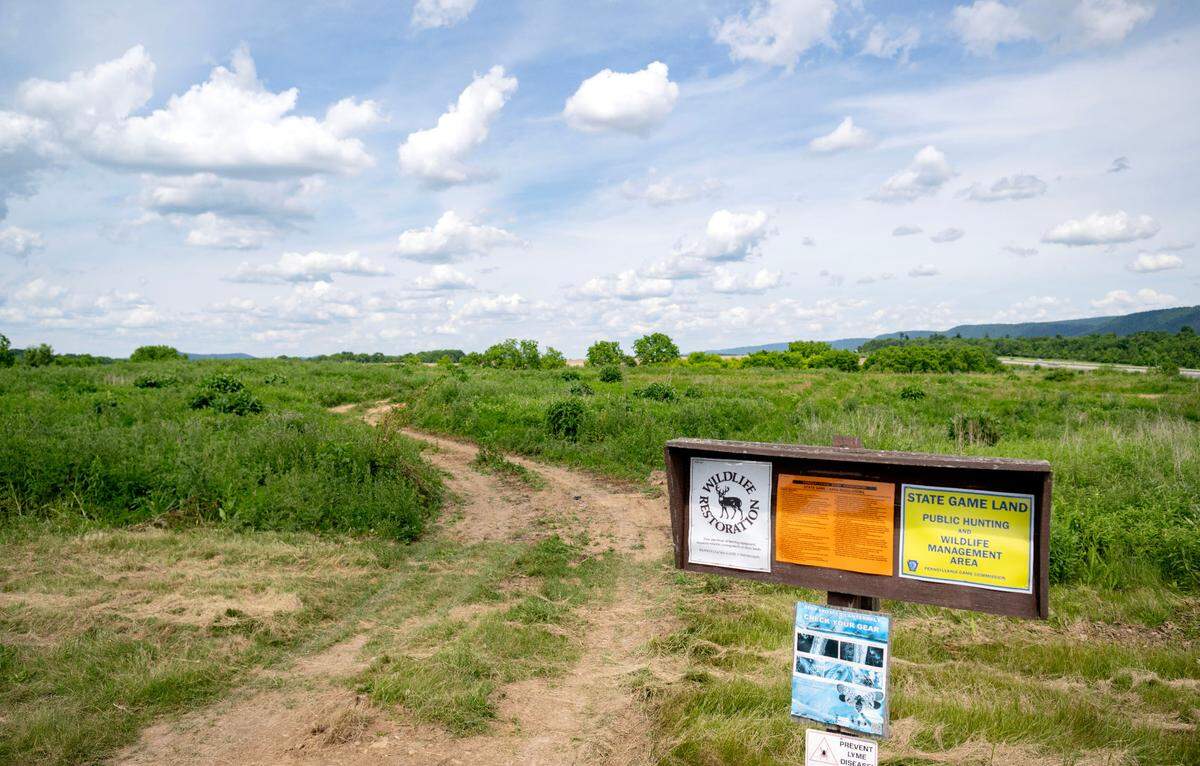 State game lands along Shiloh Road where a new Pennsylvania Game Commission regional office is proposed.
