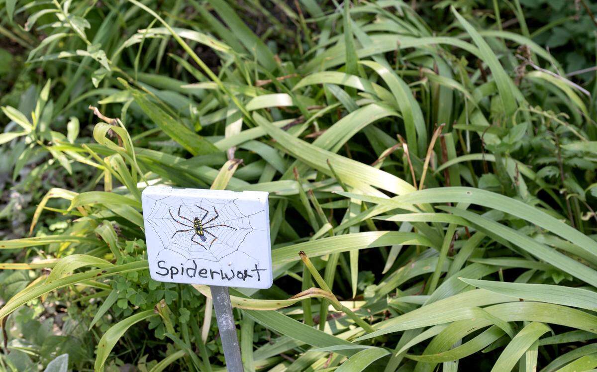 Signs identify plants in the Bellefonte Community Children’s Garden on Tuesday, July 29, 2025.  