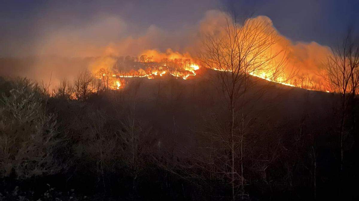 Over 800 acres were burned on Sandy Ridge Mountain after a Pennsylvania Game Commission controlled fire spread on Wednesday, November 9, 2022.