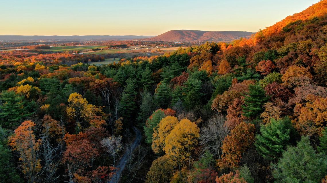 Over the garden fence: Use those leaves that are falling now to make a compost pile