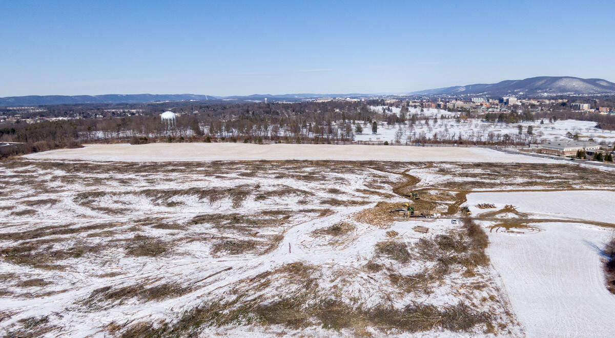 Pine Hall Forest off of Old Gatesburg Road is pictured on Tuesday, Feb. 25, 2026.