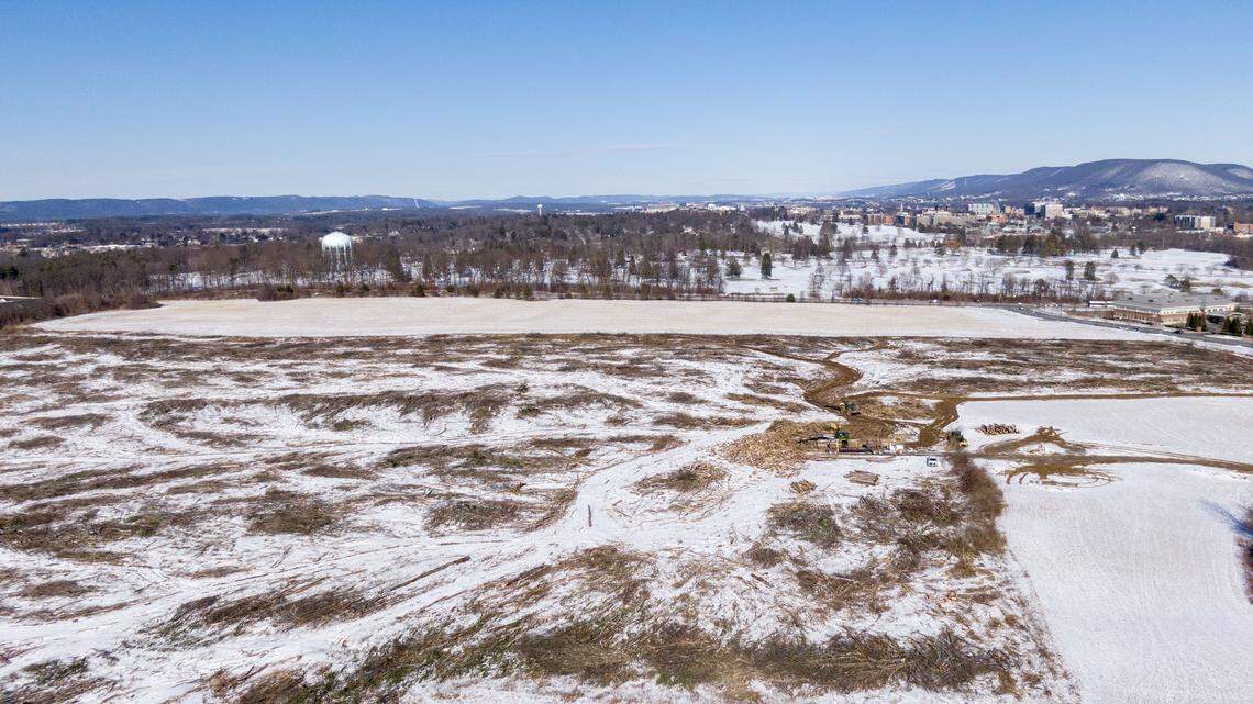Pine Hall Forest in Ferguson Township has been razed. Here’s what to know
