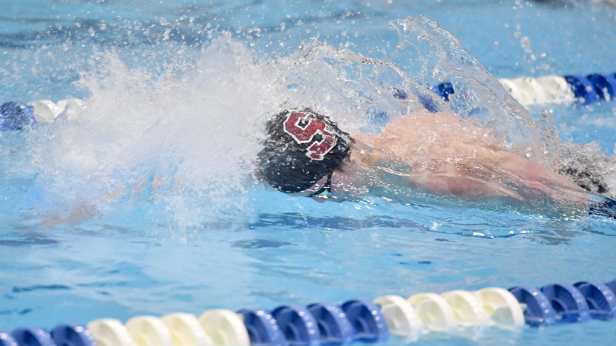 State College’s Matt Brownstead, seen here earlier this month at districts, set a state record in the 50 freestyle Friday at the PIAA Class 3A Swimming and Diving Championships at Bucknell’s pool. Brownstead won the gold medal with a time of 19.55 seconds, breaking an 8-year-old state record.