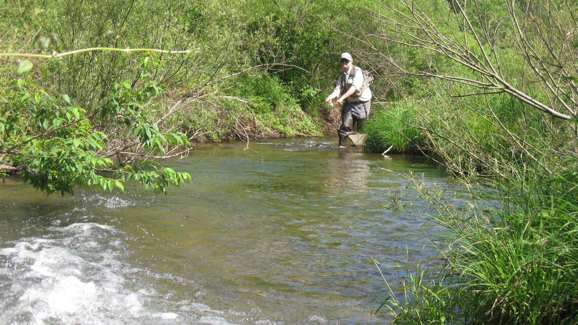 Afield: Pa. Fish and Boat meeting sparks debate over wild trout stream regulations
