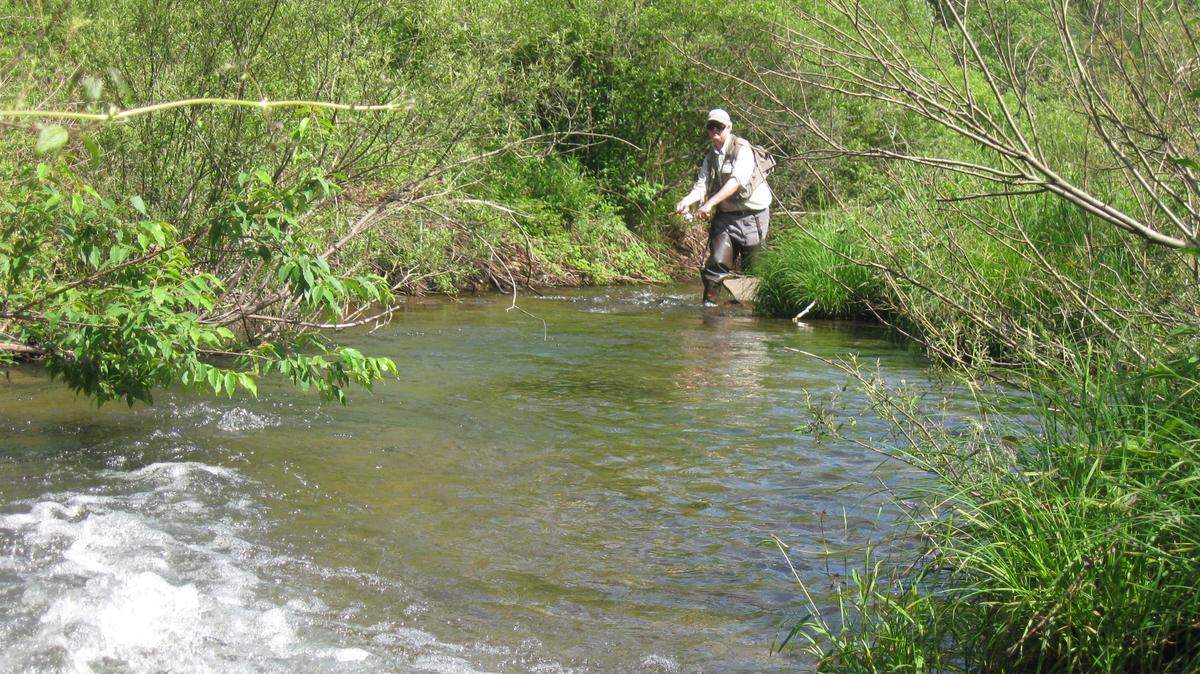 Pennsylvania has nearly 3,000 miles of Class A Wild Trout Streams. Do they need more restrictive angling regulations?