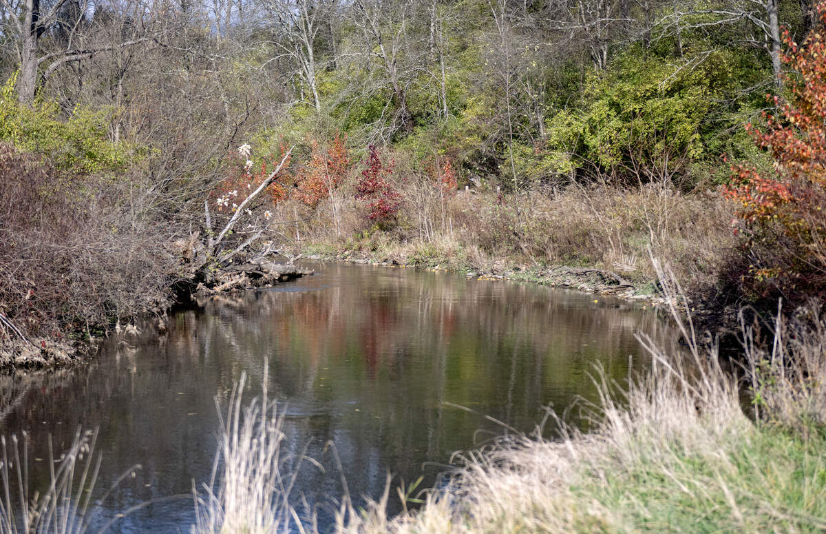 This portion of Spring Creek along Trout Road was dedicated to veterans for fly-fishing, a longtime dream of the late Gerald F. “Doc” Clair.