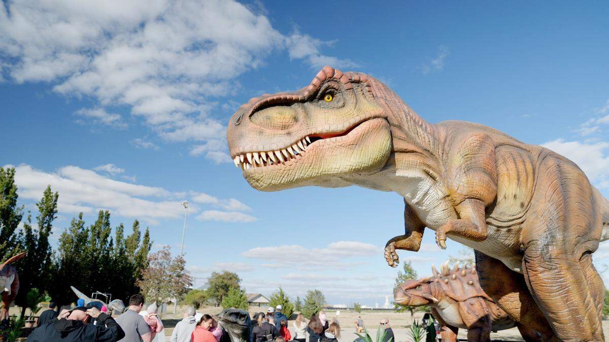 I Heart Cookies will bring life-sized dinosaurs and deep-dish cookies to State College this weekend.
