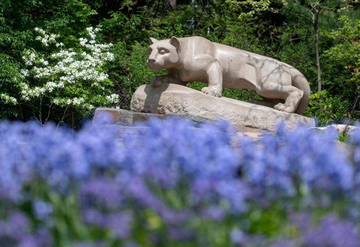 Flowers bloom around the Nittany Lion shrine on the Penn State campus on May 11, 2023.