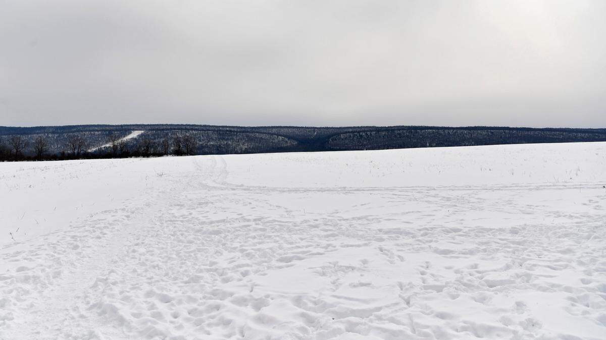 The field where Whitehall Road Regional Park is proposed in Ferguson Township on Wednesday, Feb. 10, 2021.