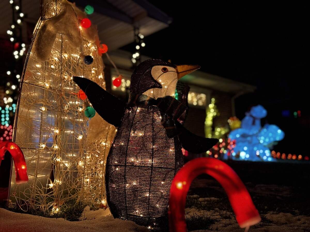 A penguin decoration gestures at 308 Pleasantview Blvd., Milesburg, on Dec. 6, 2025.