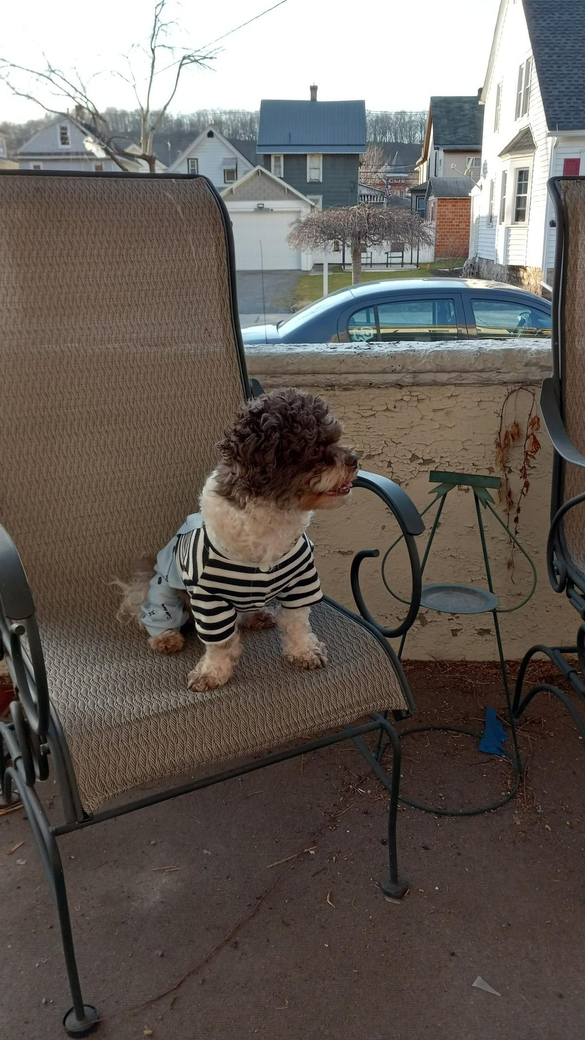 Dixie Myers called her dog Isaiah her “heart and soul and a true blessing from our Lord above.”