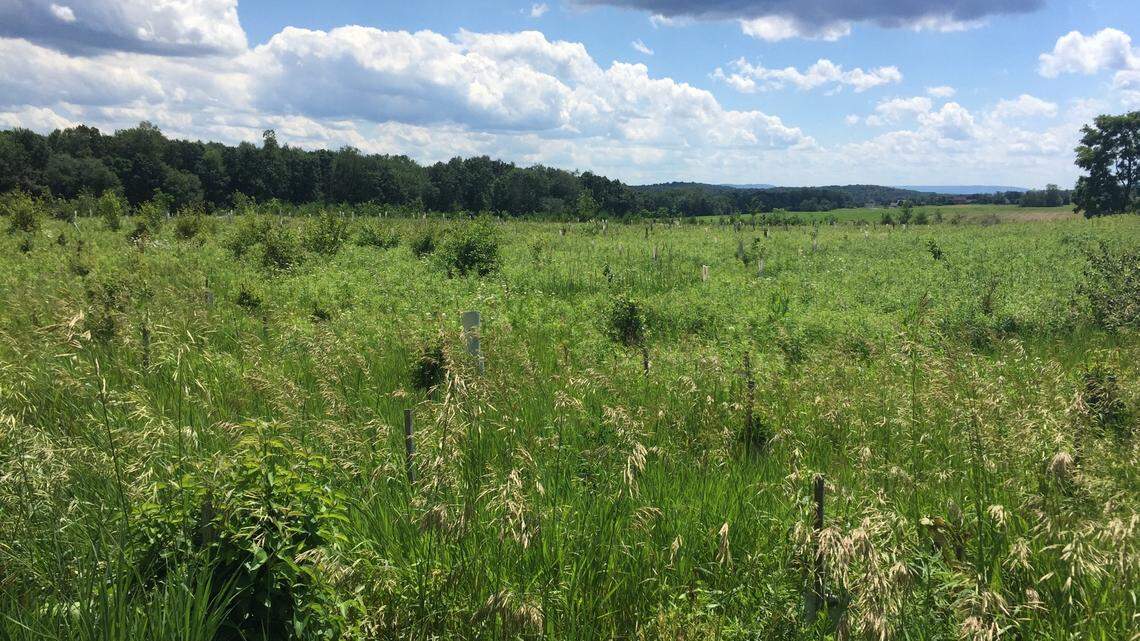 What’s a wildlife corridor? Experience one for yourself at the latest Centred Outdoors event