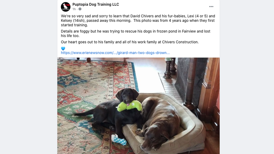 Two dogs, shown in a photo by Puptopia Dog training, died in a kayaking accident with their owner, state police said.