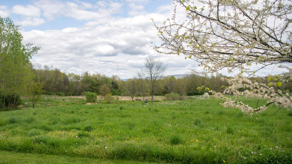 Centred Outdoors will host events the week of July 9 at Tom Tudek Memorial Park.