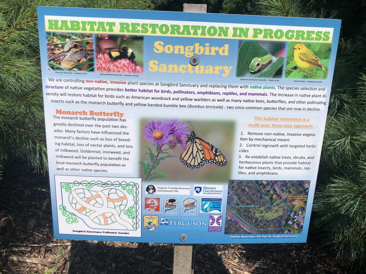 A sign on a walking trail at Songbird Sanctuary, details future plans and potential species that will inhabit the area.