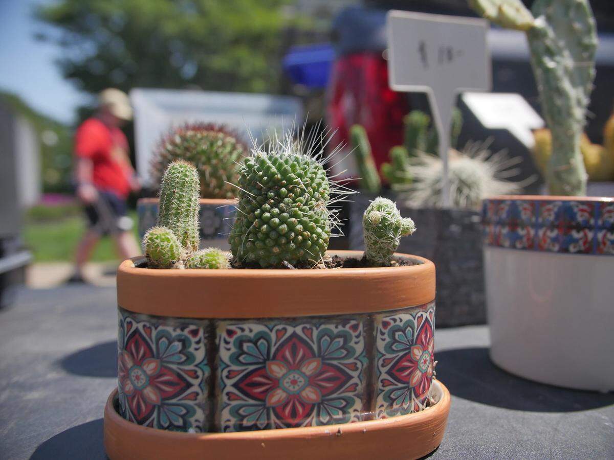 Vendors set up shop near to the 4th Fest parade on Friday, July 4, 2025.