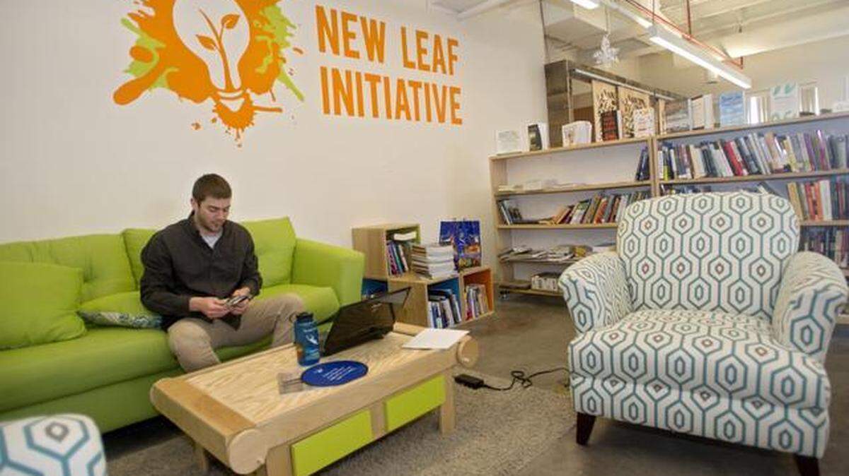 NewLeaf3