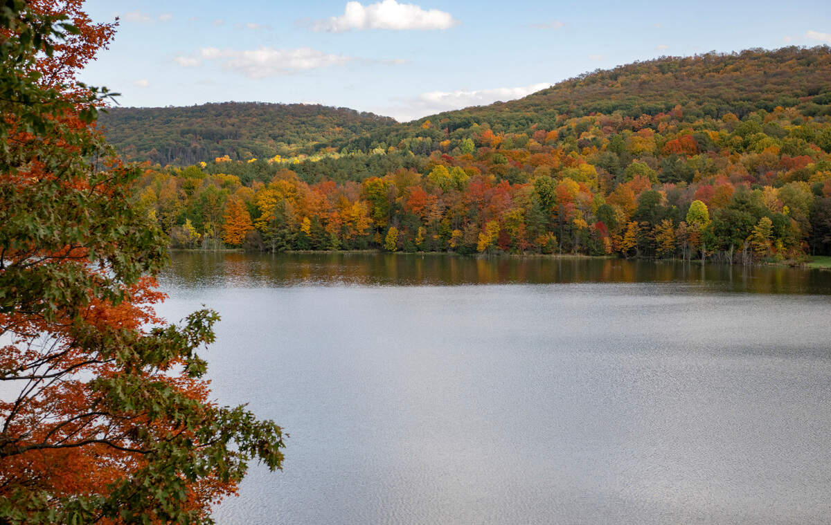 A view of Colyer Lake for Hobie’s Trail on Friday, Oct. 14, 2022.