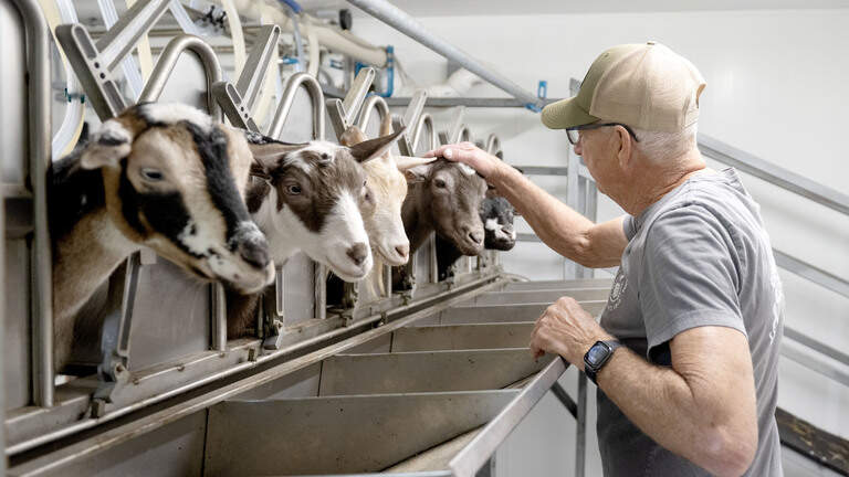 Yoga, line dancing & more: Centre County’s only goat dairy continues to expand offerings