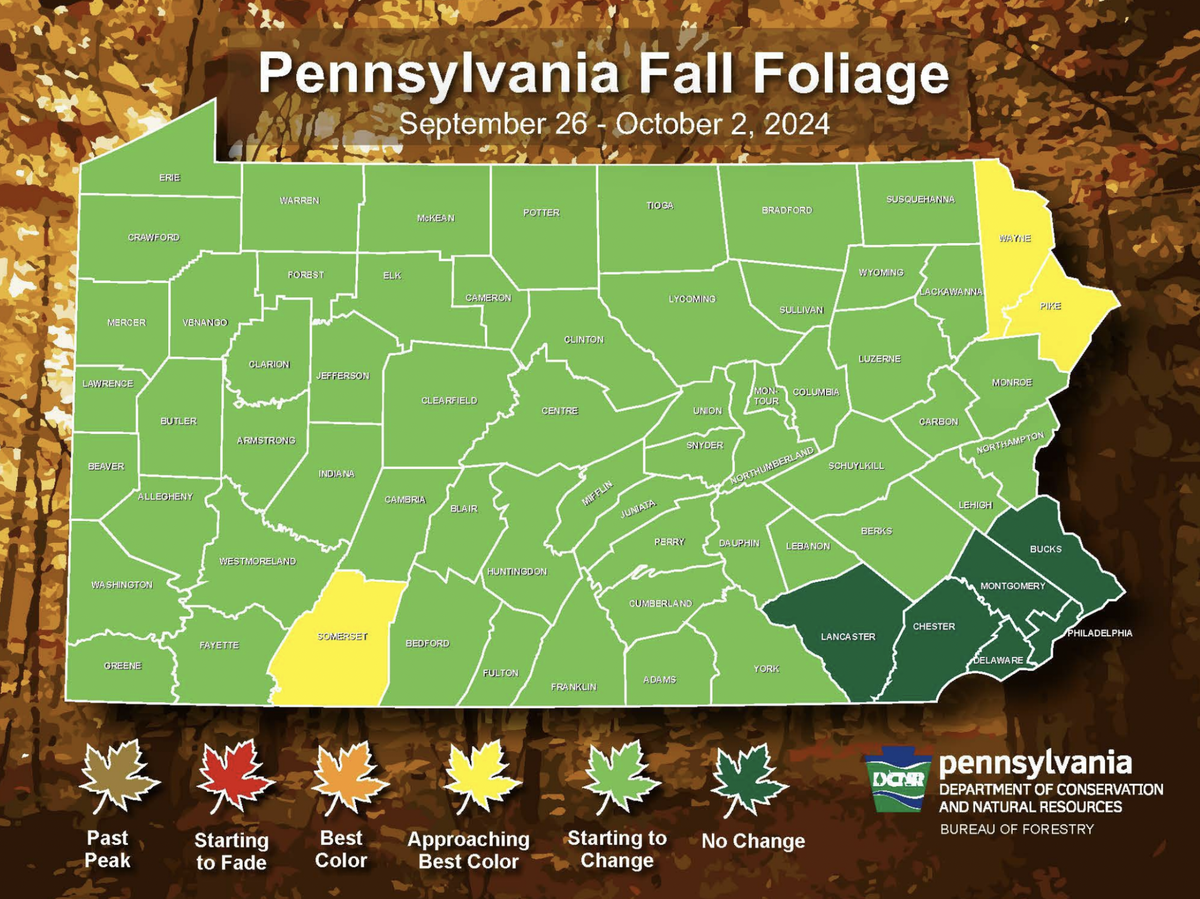 This county map from the Pennsylvania Department of Conservation and Natural Resources shows the most recent fall foliage projections for the commonwealth through Oct. 2.