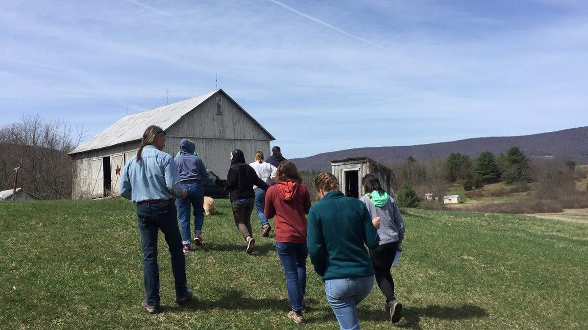 Volunteers with State College Crop Mobs get to work at  Phoenix Farm.
