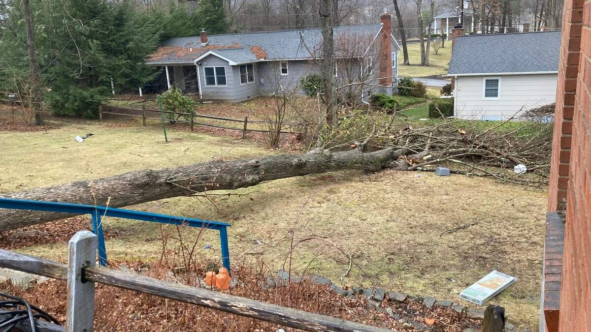 A tree fell in a yard on Woodland Drive in Bellefonte on Sunday, March 16, 2025.