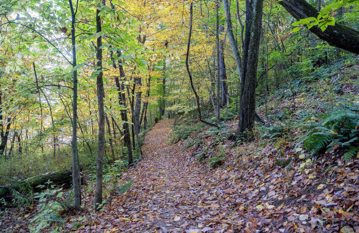 A view on Hobie’s Trail around Colyer Lake on Friday, Oct. 14, 2022.