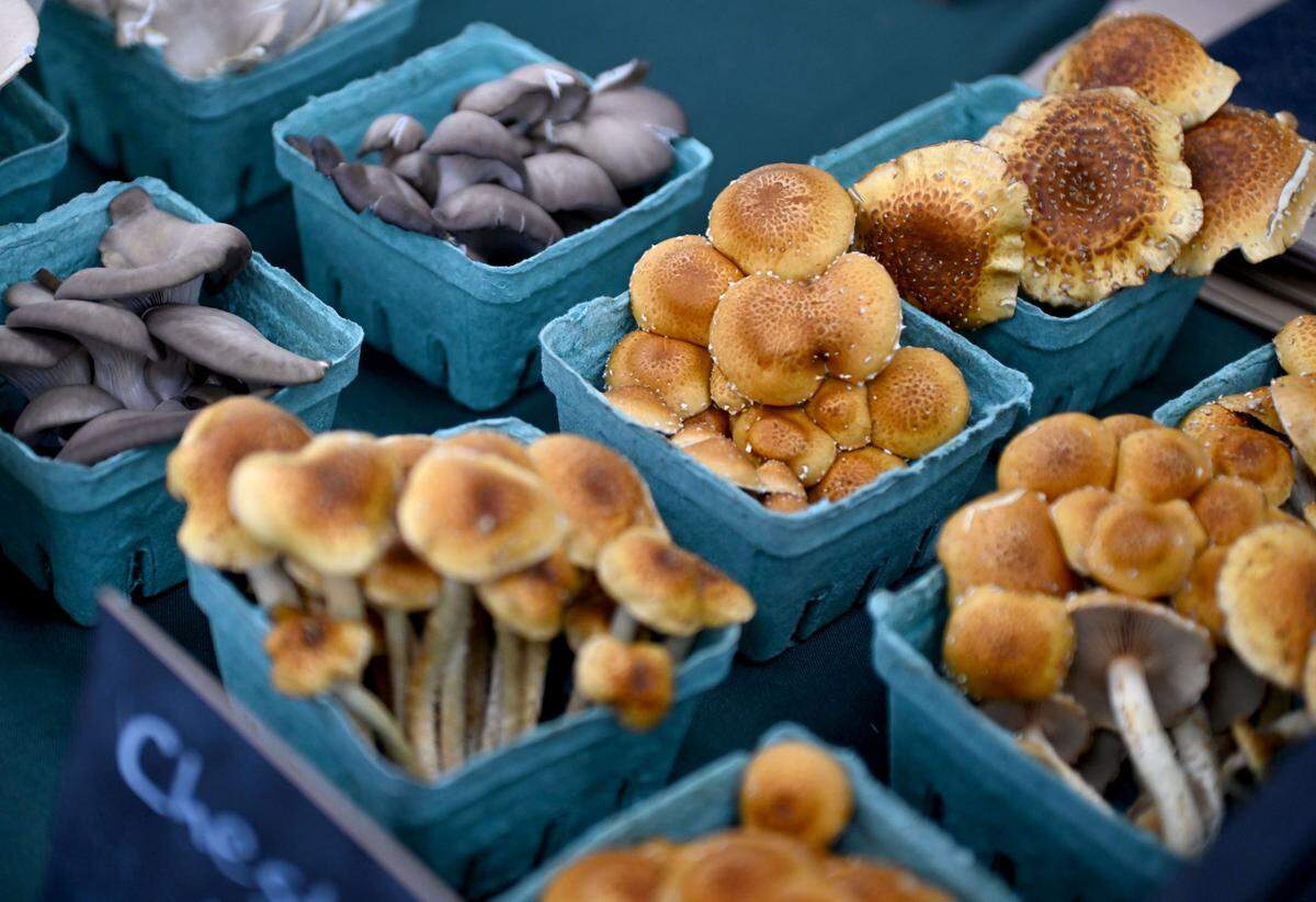 Mushrooms from Deep Hollow Forest Farm at the Boalsburg Farmers Market on Tuesday, April 29, 2025.