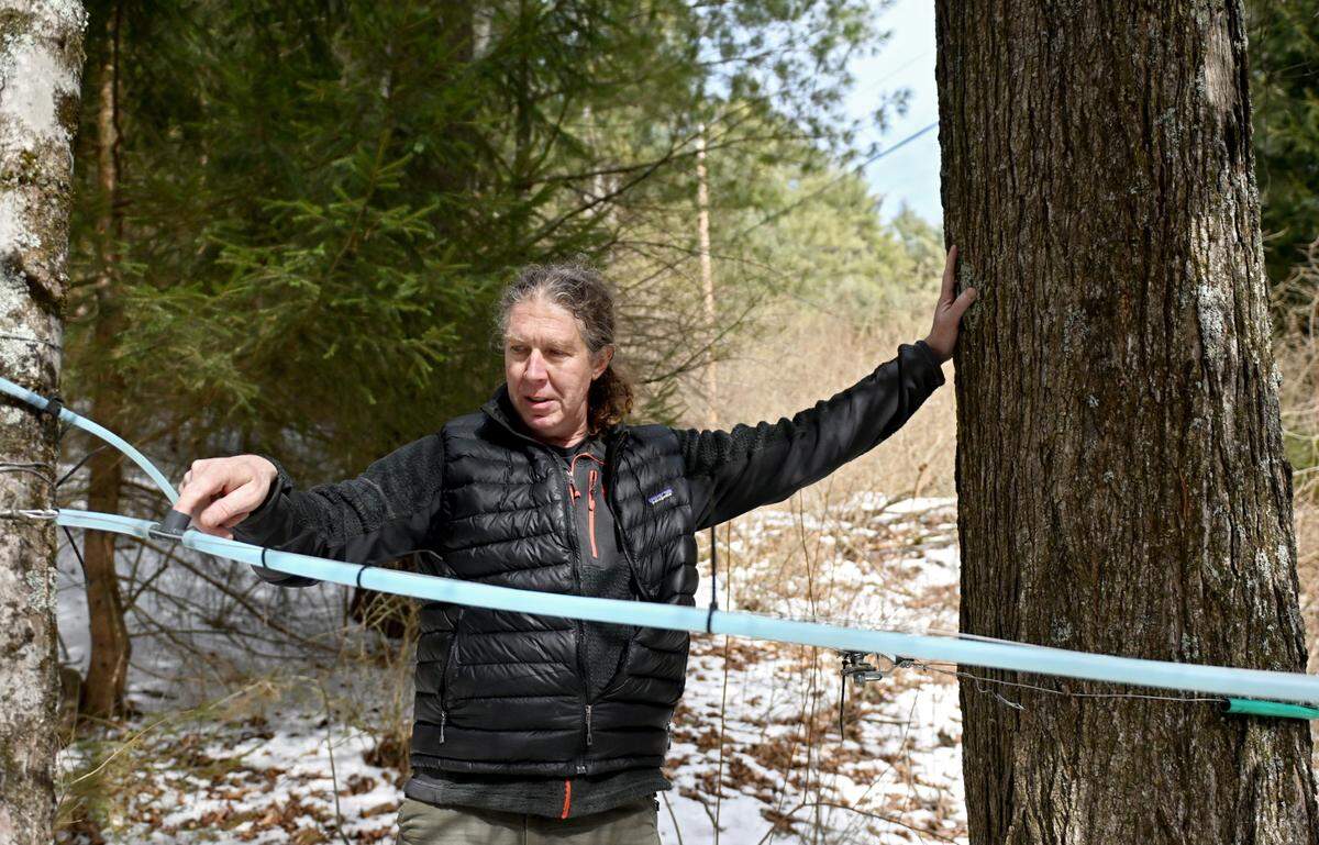 Jack Ray talks about preparing to tap the sugar maple trees at Treaster Kettle Farm to make maple syrup on Monday, Feb. 24, 2025.
