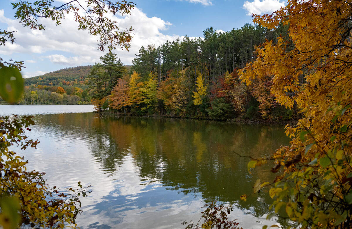 A view from Hobie’s Trail around Colyer Lake on Friday, Oct. 14, 2022.