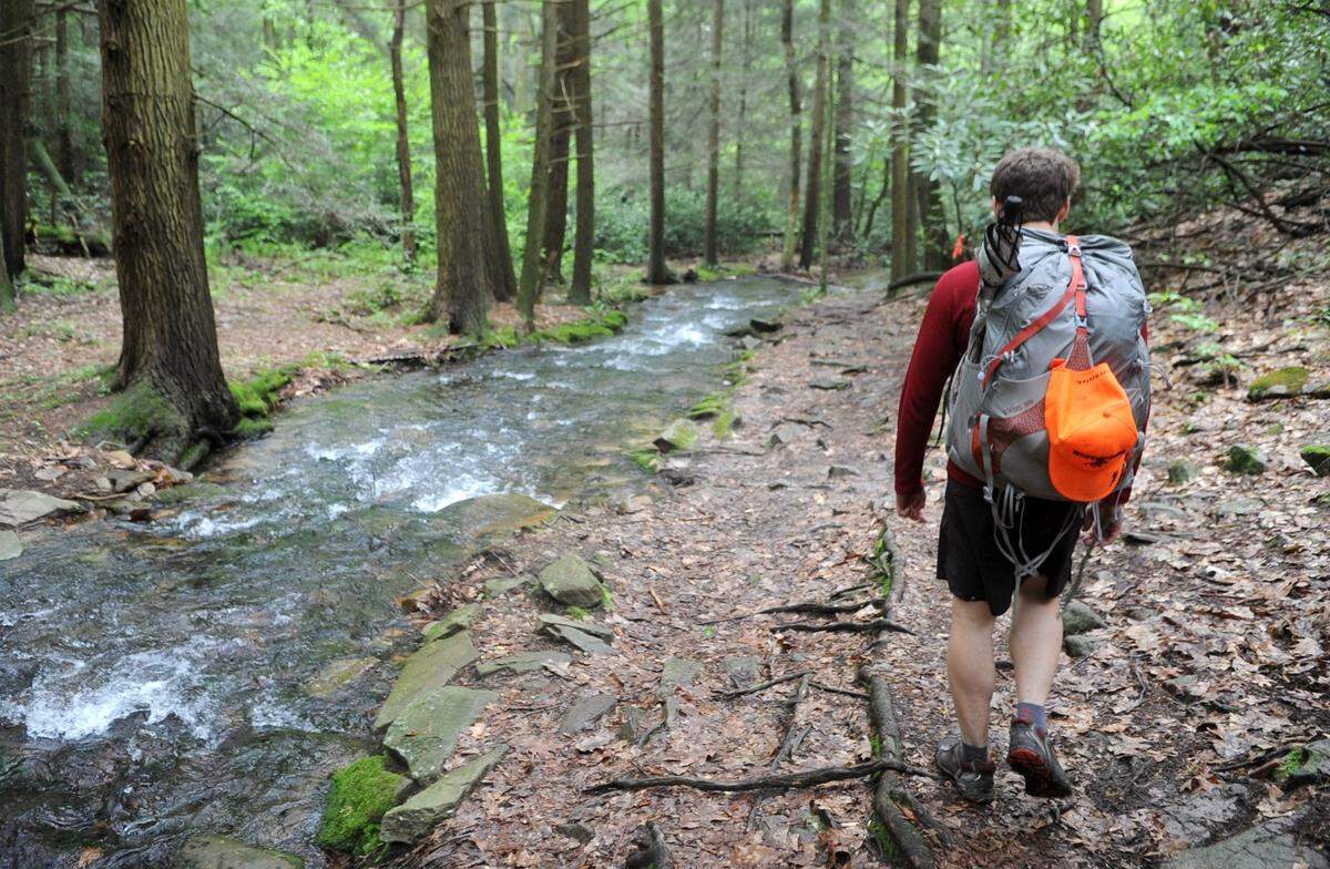 A hiker in Shingletown Gap in 2011.