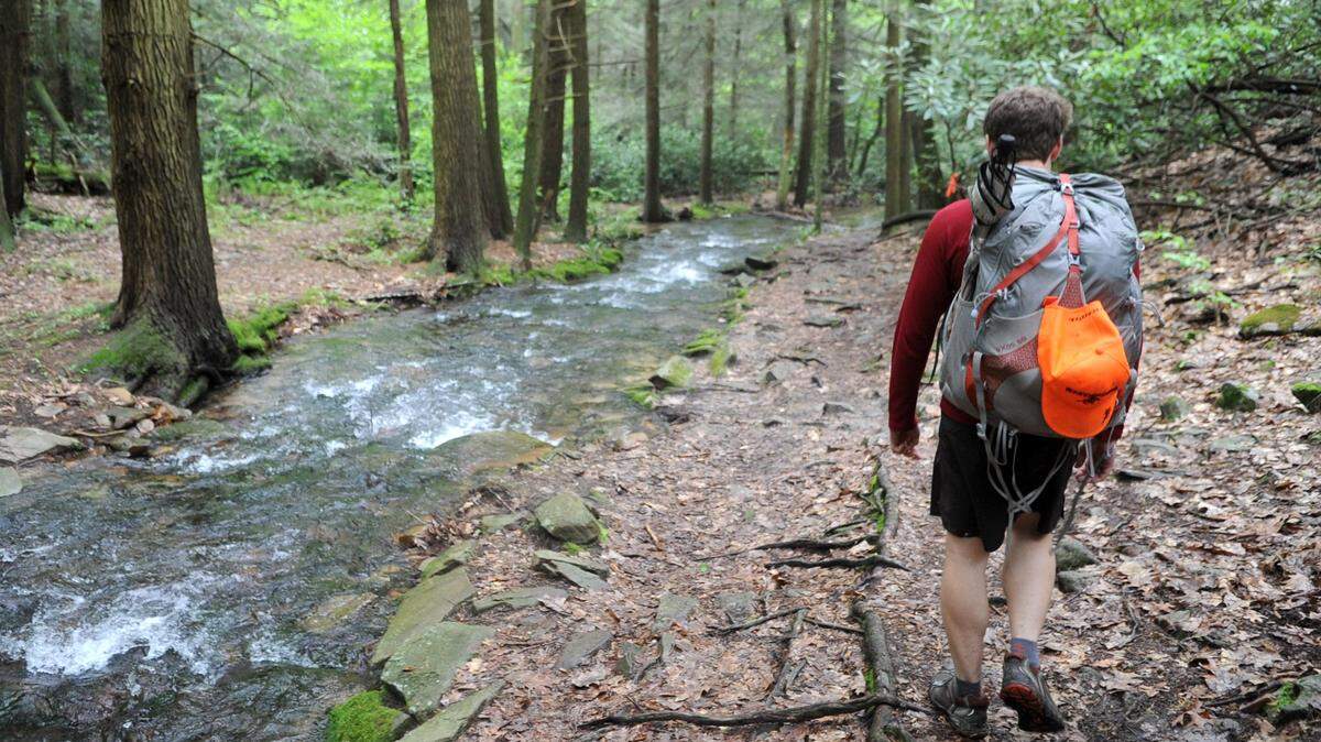 A hiker in Shingletown Gap in 2011.