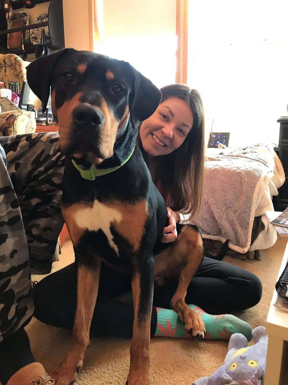 Nash, pictured here with his owner Jessica Alvarez. Nash is still missing after a rollover crash on I-80 in Clinton County on Wednesday.