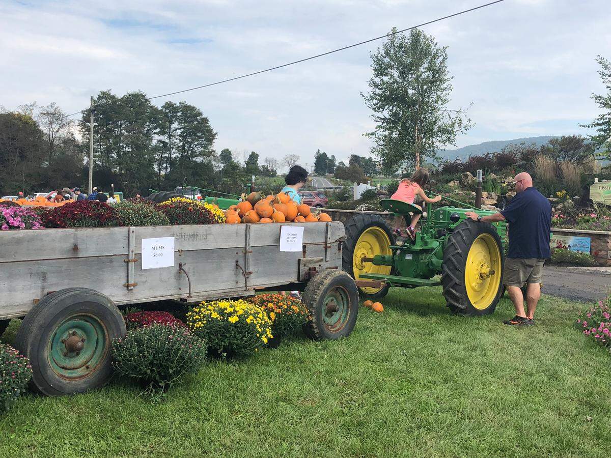 Fall Fest at Wasson Farm on Shingletown Road will be spread out over two weekends.