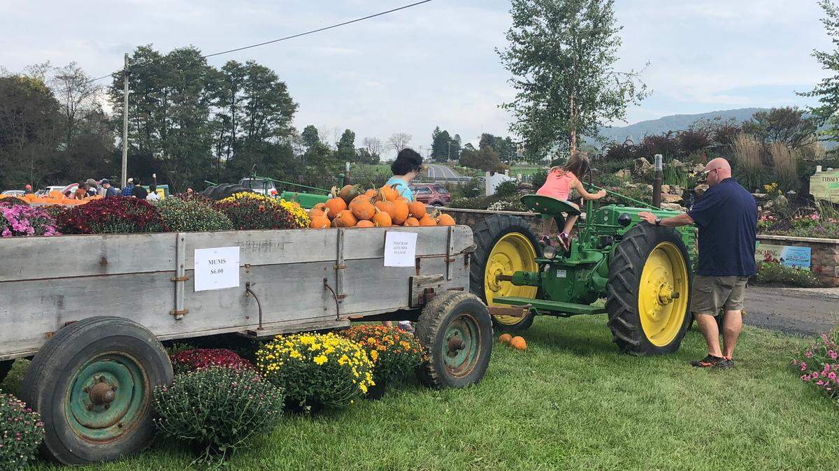 Spread out over two weekends, Fall Fest at Wasson Farm on Shingletown Road kicked off on Saturday.