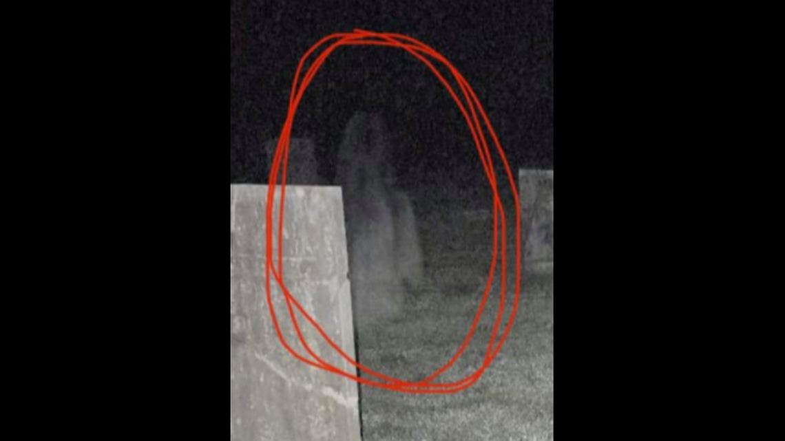 This is a close up of the cemetery photo. What do you think the image could be?