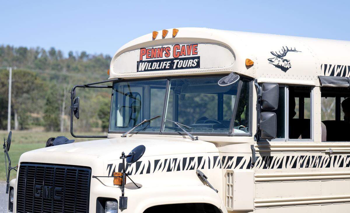 The wildlife tour at Penn’s Cave takes visitors around the property to see animals from deer and elk to a pack of wolves and mountain lions.
