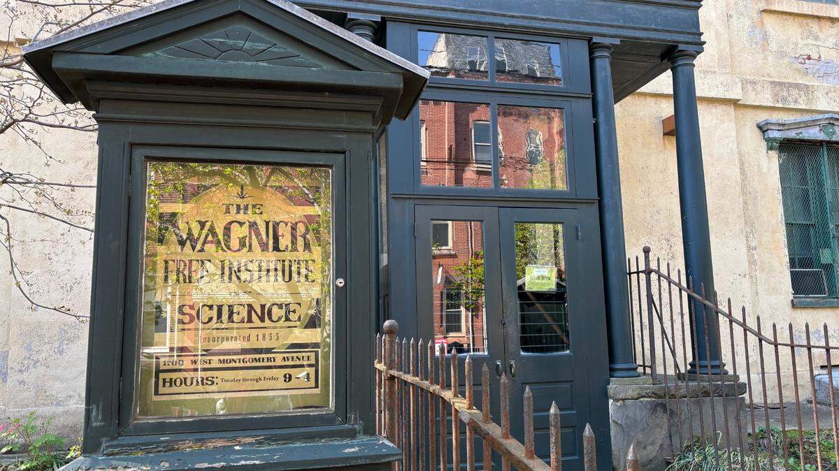 The Wagner Free Institute of Science in Philadelphia houses thousands of fossils and minerals.