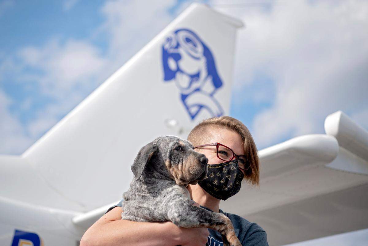 Christine Chichester transports a pup to from the No Dog Left Behind plane that brought 15 dogs from South Carolina to Centre County PAWS April 13.