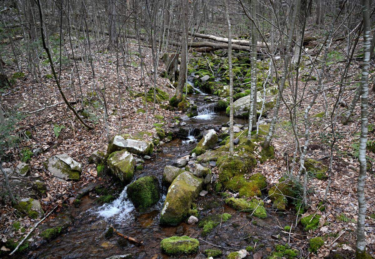 A stream runs along the Musser Gap Trail on Thursday.