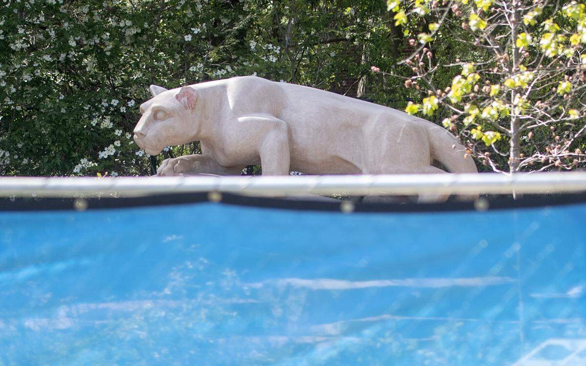 Damage to the Nittany Lion Shrine, including a broken ear, is visible over fencing on Tuesday. Several locations around campus were vandalized over graduation weekend.